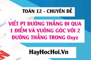 Viết phương trình đường thẳng đi qua 1 điểm và vuông góc với 2 đường thẳng trong Oxyz - Toán 12 chuyên đề
